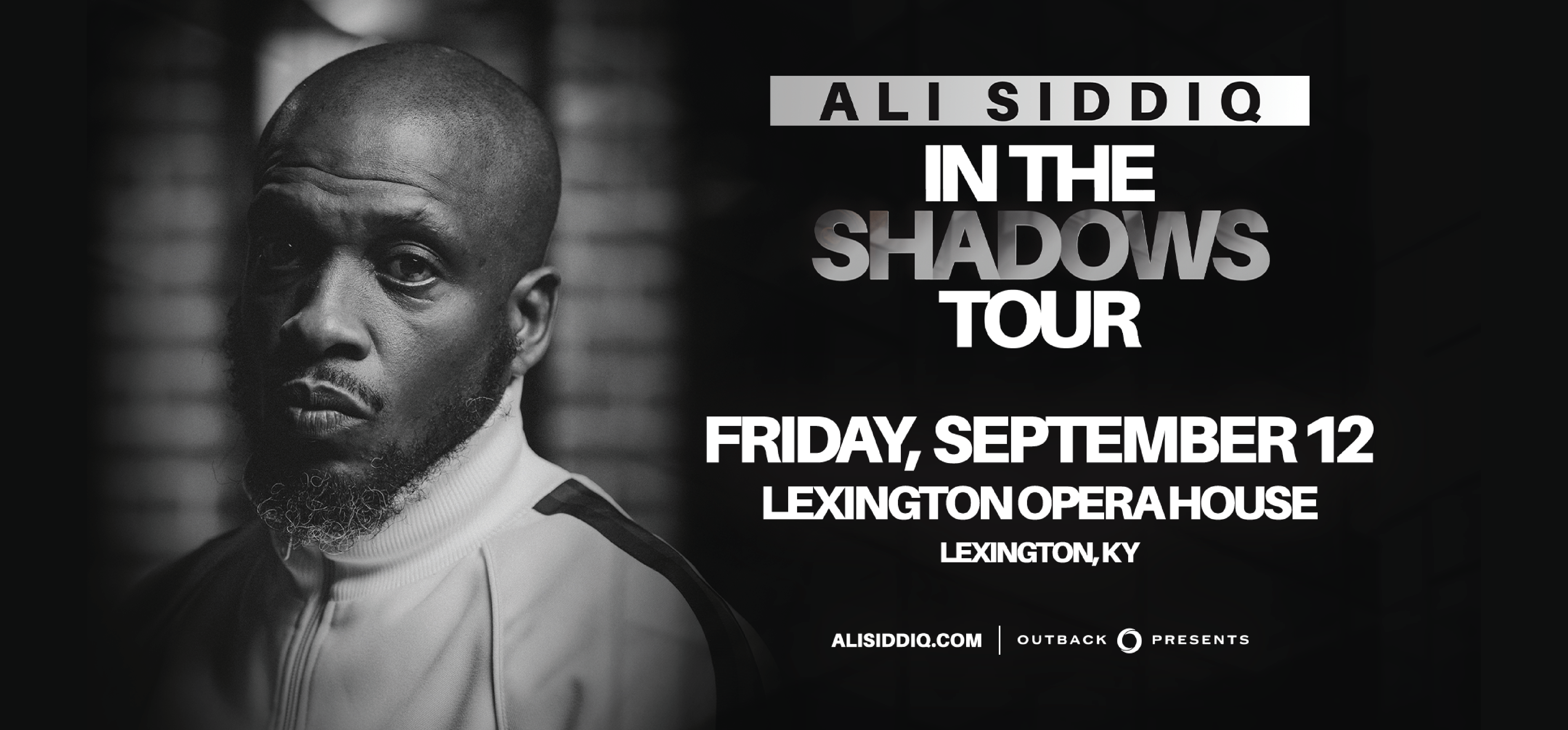 Ali Siddiq: In The Shadows