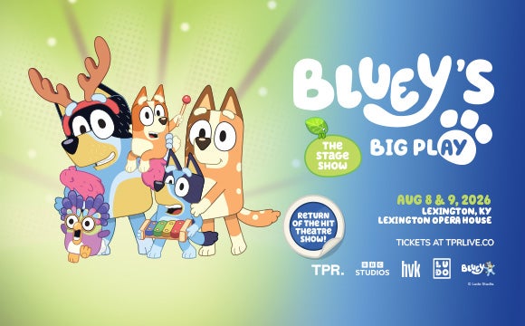 More Info for Bluey's Big Play