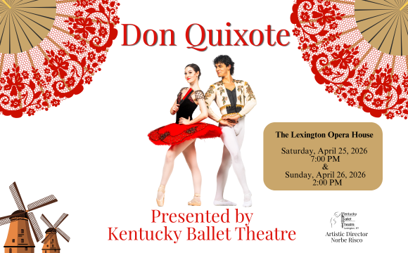 More Info for Don Quixote