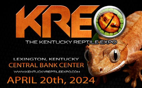 More Info for The Kentucky Reptile Expo