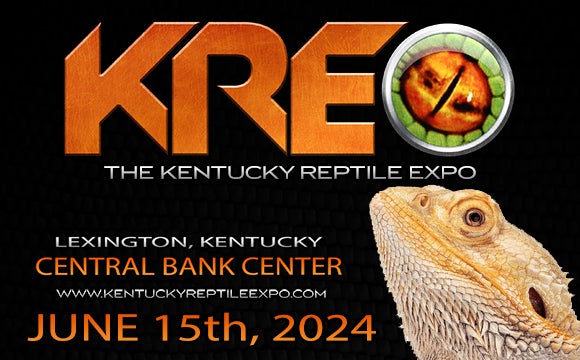 More Info for The Kentucky Reptile Expo