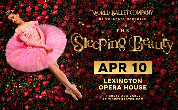 More Info for The Sleeping Beauty