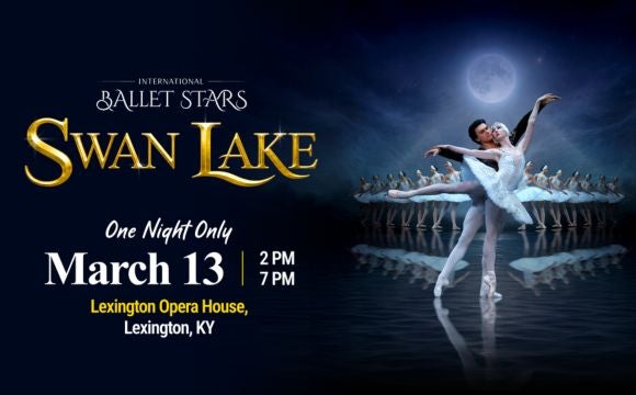 More Info for Swan Lake